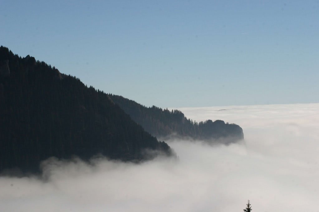 escorte otelu rosu jpg escorte otelu rosu