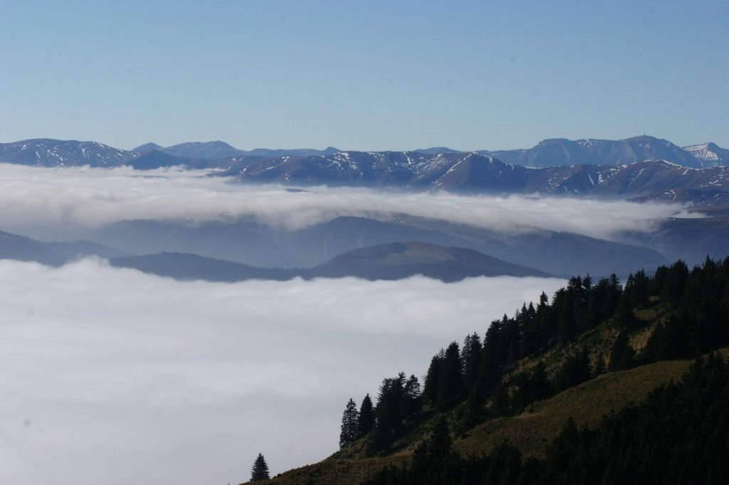 incontro timisoara jpg incontro timisoara