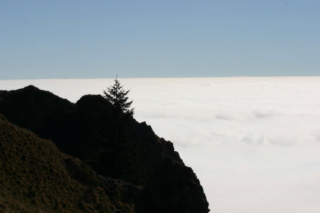 profile dating site jpg profile dating site