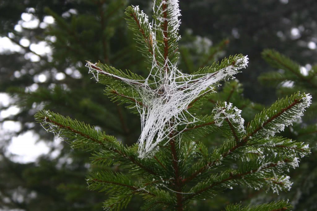 pub24 buzau jpg pub24 buzau