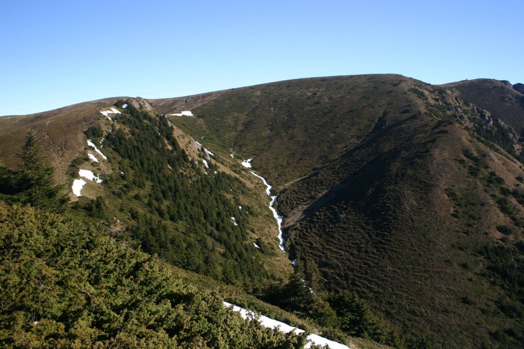 femei care vrea casatorie braila nr tele