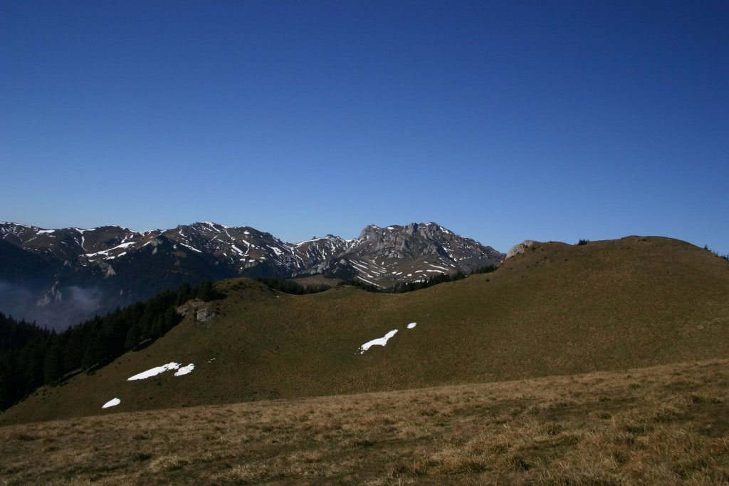 raluca munte videochat jpg raluca munte videochat