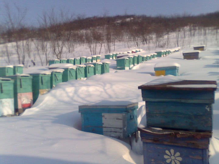 ce vor barbatii sa auda in timpul sexului