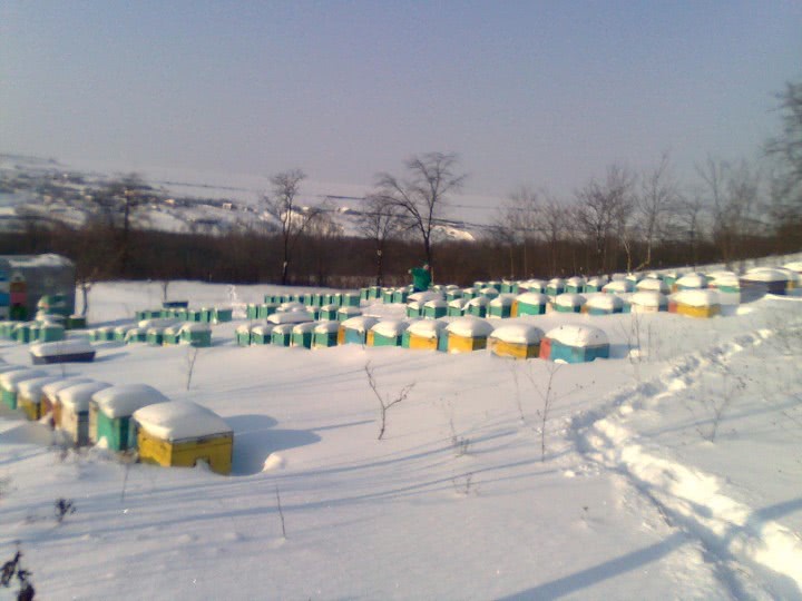 ce vor sa auda femeile jpg ce vor sa auda femeile