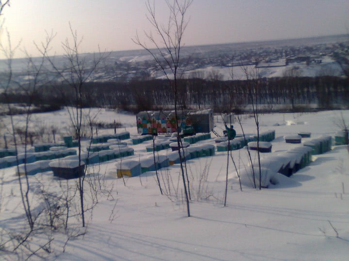 id gay timis jpg id gay timis