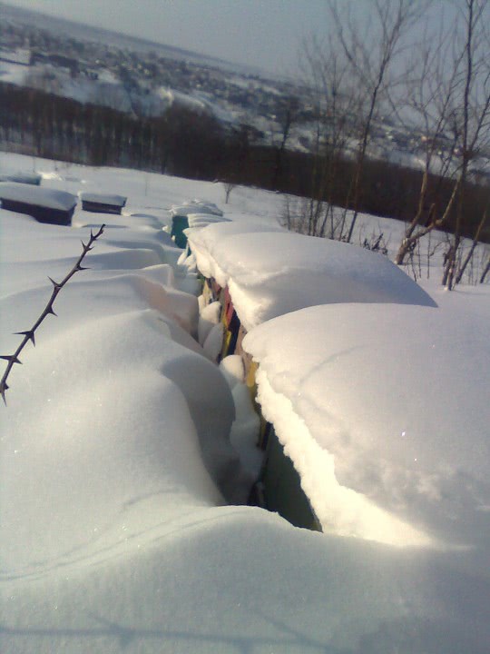 publi24 ro pentru sex jpg publi24 ro pentru sex