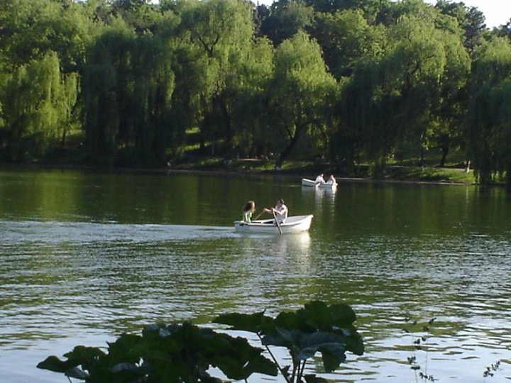 gay in parcul tineretului jpg gay in parcul tineretului