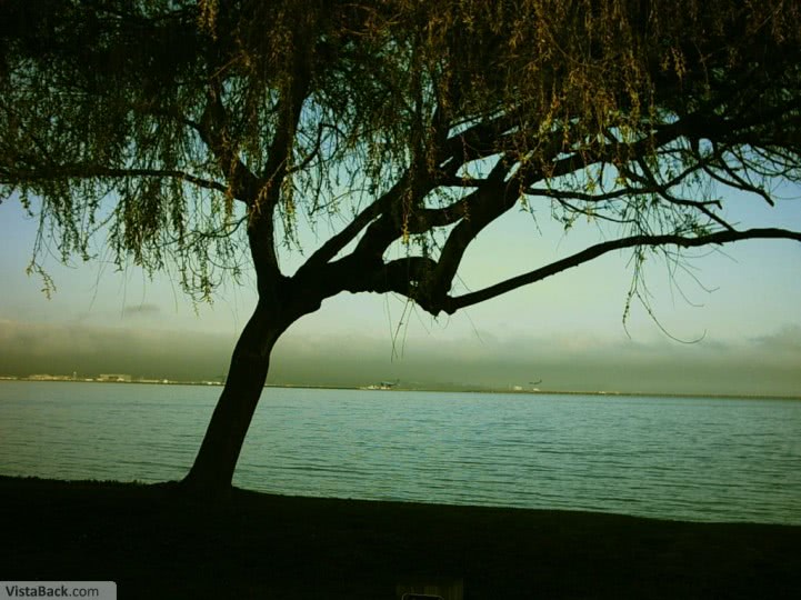 barbati brasov jpg barbati brasov