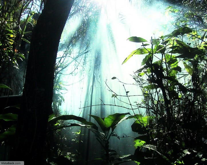 milf sibiu jpg milf sibiu