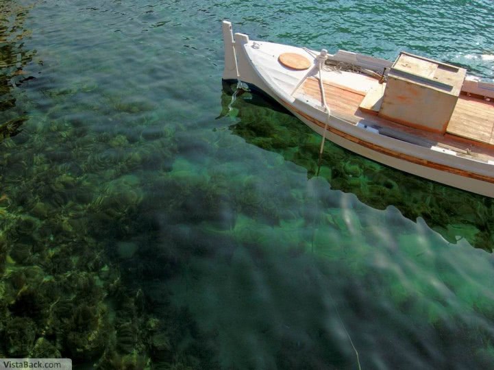 poziti sex jpg poziti sex