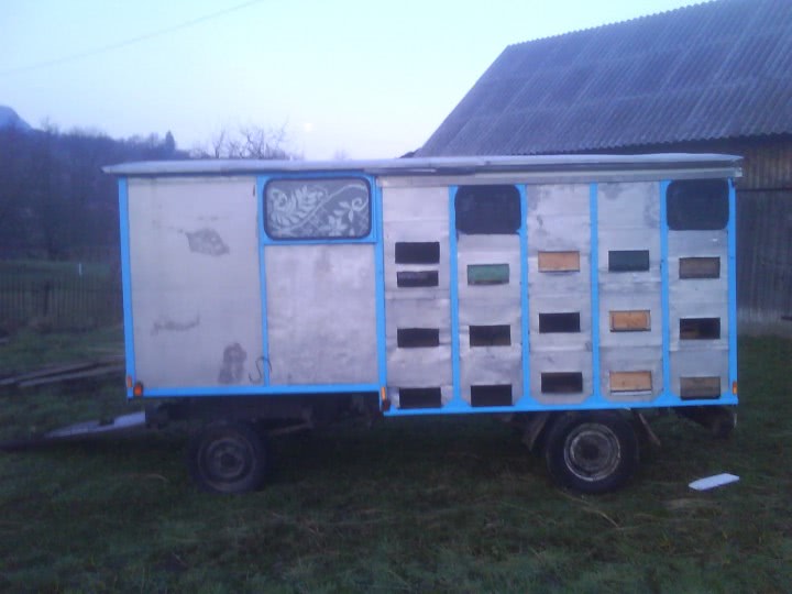 produse pentru imbunatatirea vietii sexuale la barbati