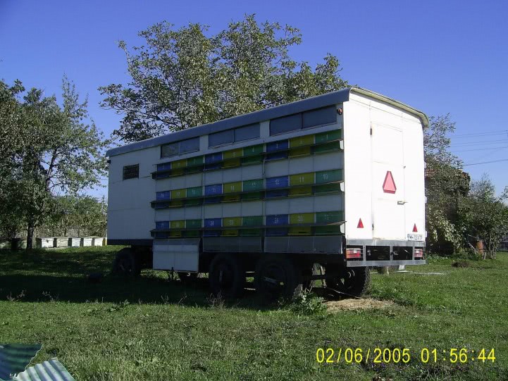 site gay hornet jpg site gay hornet