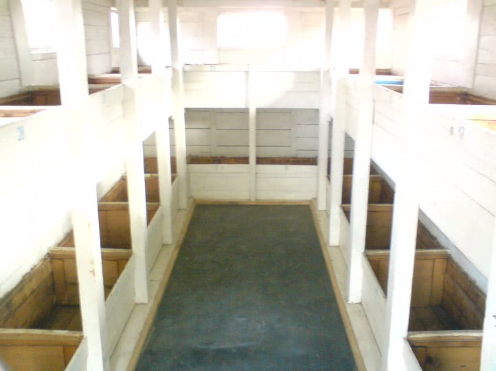 vreau femei care se fut