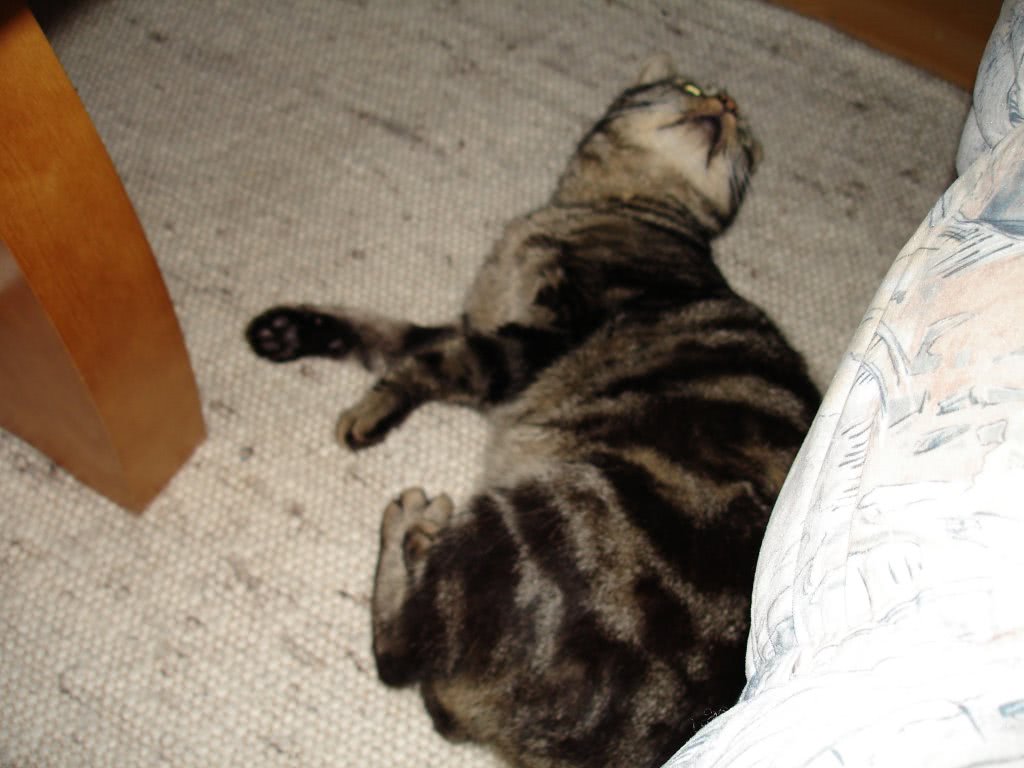 masaj erotic drobeta turnu severin jpg masaj erotic drobeta turnu severin