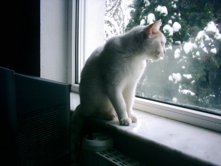 prostituate la braila jpg prostituate la braila