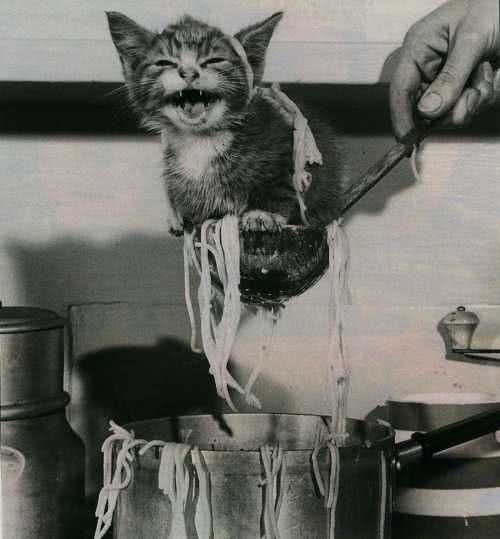 de braila jpg de braila