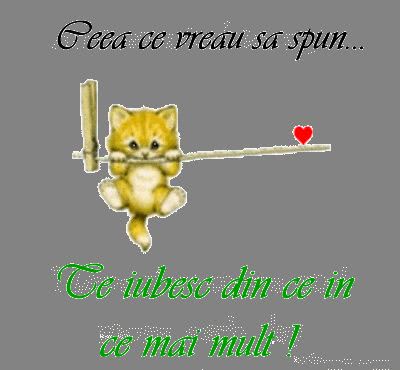 image 36953747edda6320bbf63e64e4dfa7b5 pisica