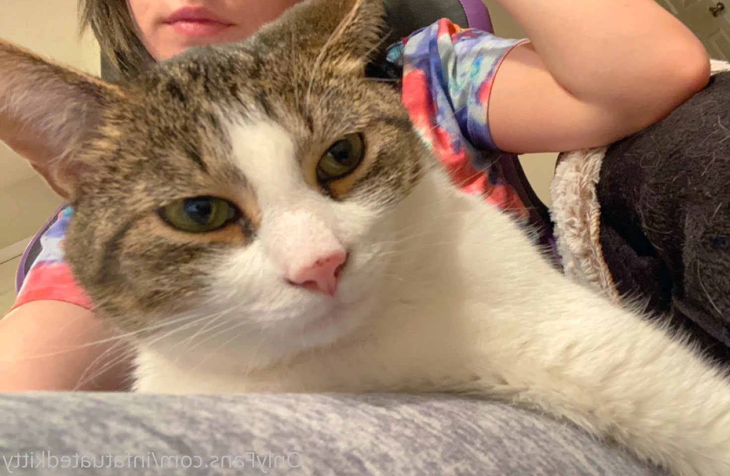 pizde poze pisacioase