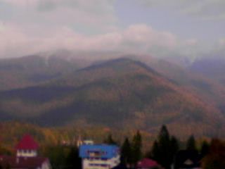 P10 15 05_16 jpg P10 15 05_16