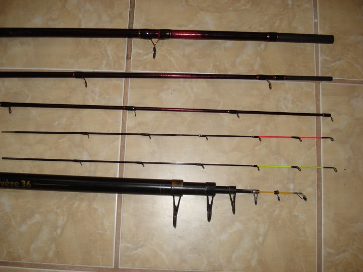 cantharis d6 pareri jpg cantharis d6 pareri