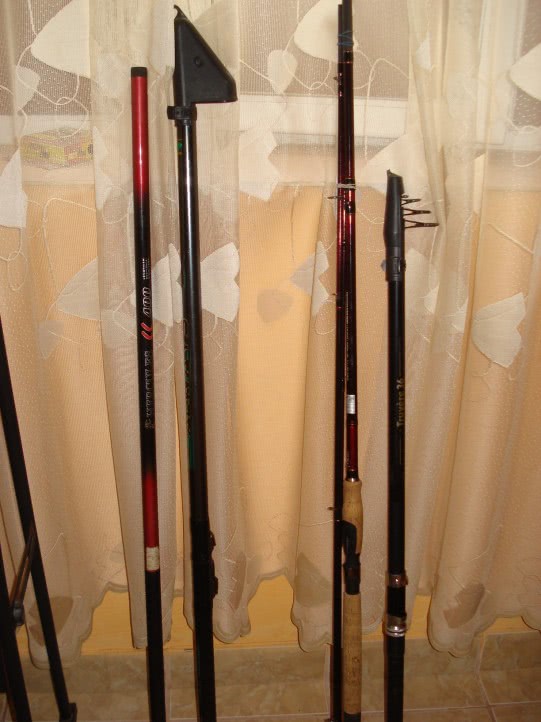 stapana in bucuresti jpg stapana in bucuresti