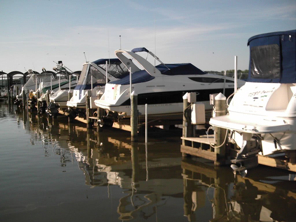 gay sexualities in america