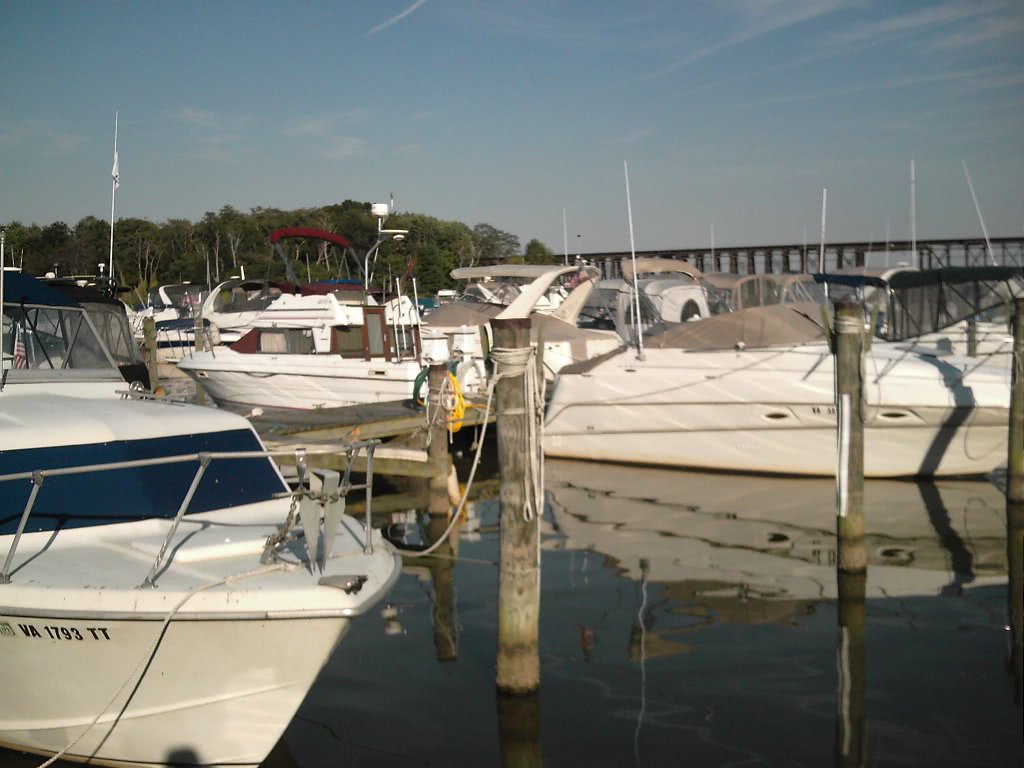 ziarul anunturi din america