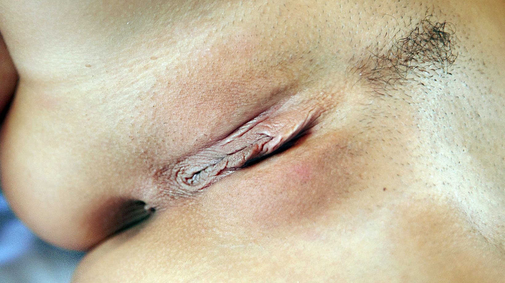 gangbang cu roscata curva mega futai jpg gangbang cu roscata curva mega futai