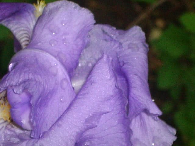 chat italia jpg chat italia