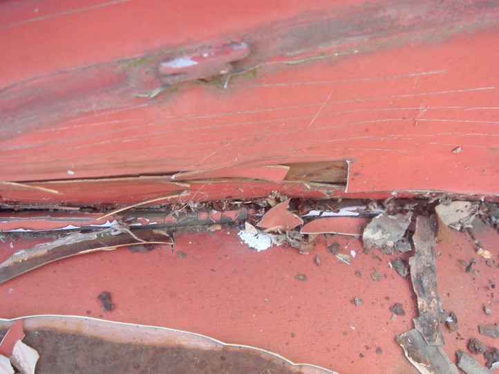 publi24 bistrita jpg publi24 bistrita