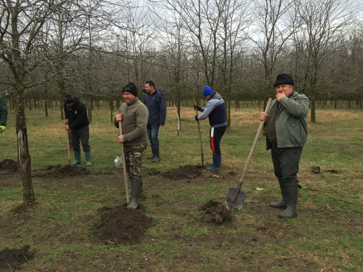 BF0017D4 0F3C 44CF 8C3A 8988D4F45FF1 jpg BF0017D4 0F3C 44CF 8C3A 8988D4F45FF1