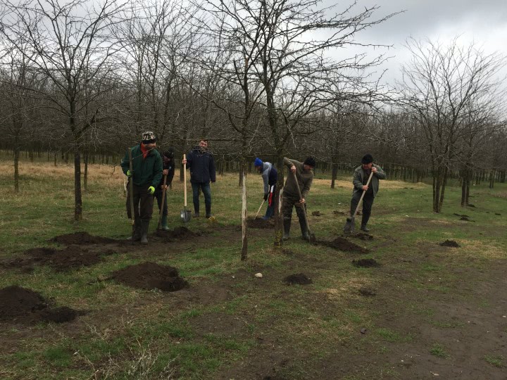 D76D93BD 4FC6 48CA ABE6 DA3454C548D1 jpg D76D93BD 4FC6 48CA ABE6 DA3454C548D1