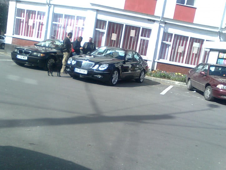 sex chat roulette jpg sex chat roulette