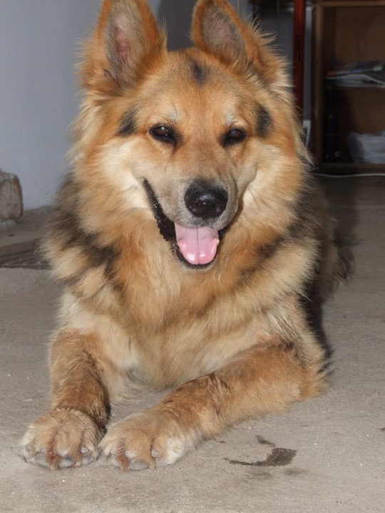 croaziere pentru persoane singure