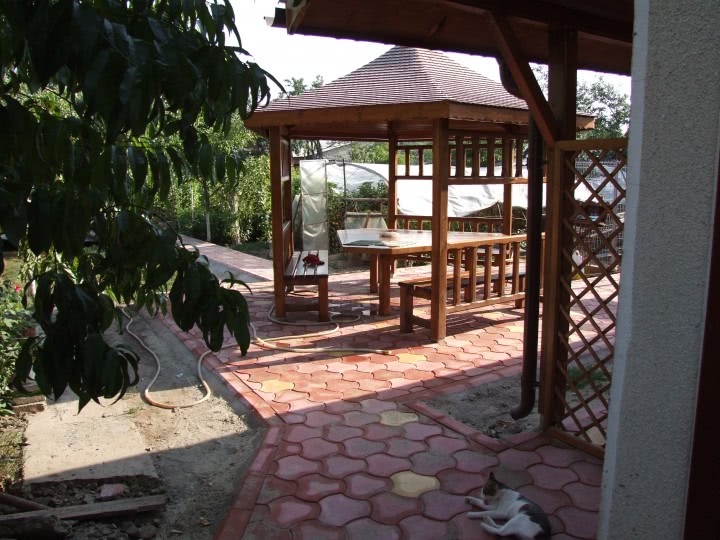 femei disponibile pt sex