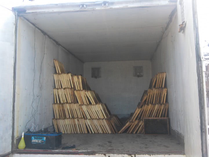 poze cu fete cu curu gol