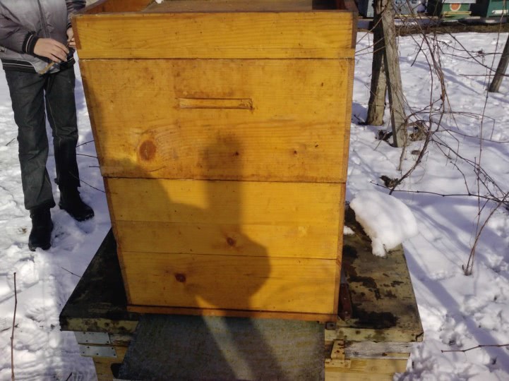 publi24 ro miercurea ciuc