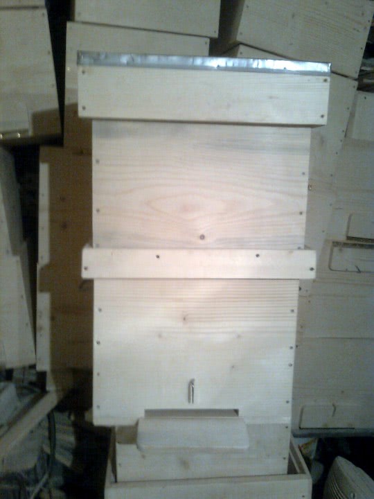 futaiuri cu femei maritate