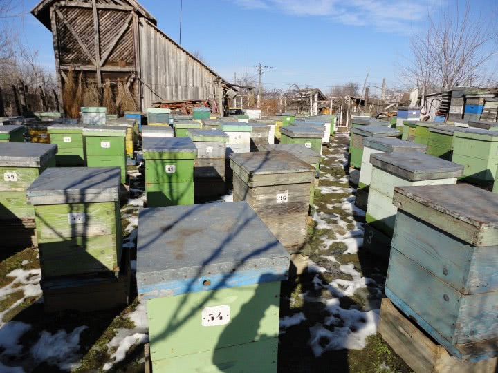 latex catsuits for sale