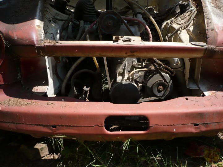 poze padsarica goaala gratis jpg poze padsarica goaala gratis