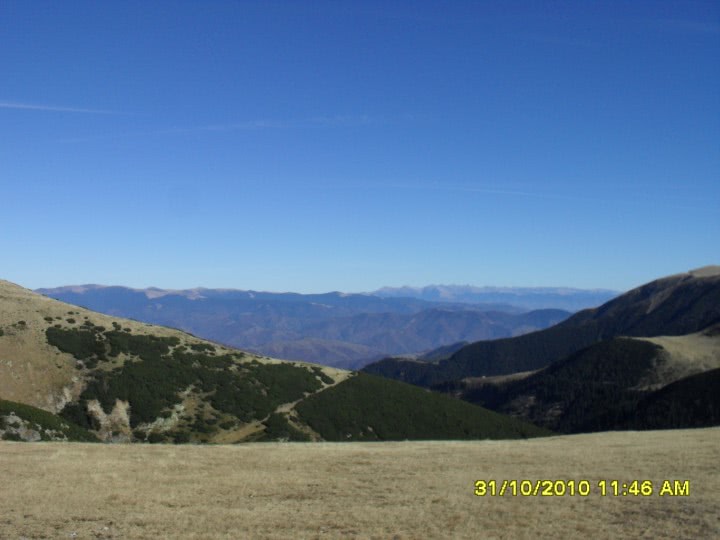 curve din slatina 12205