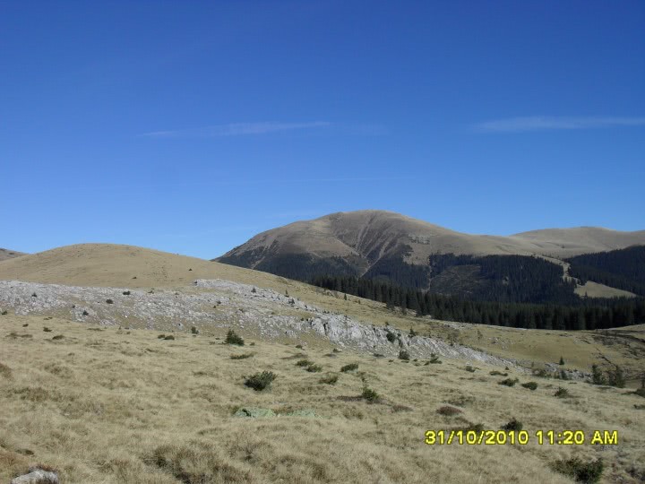 matrimoniale drobeta severin