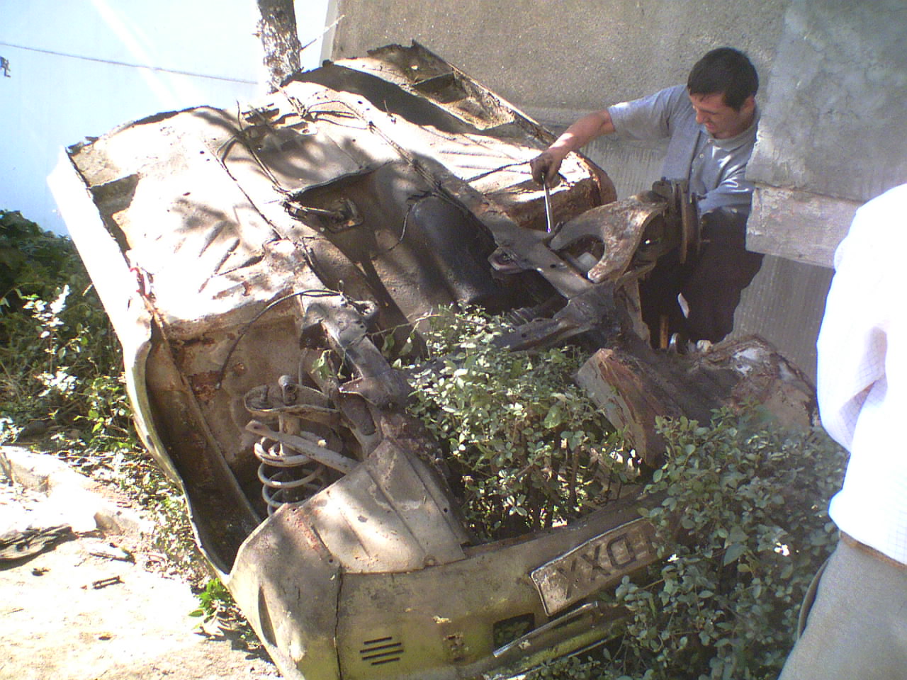 sex pe bani satu mare