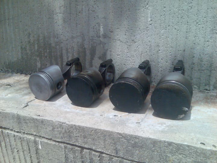 amicitie ro jpg amicitie ro