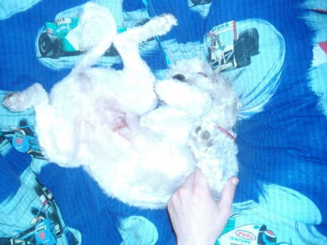 gay muvi jpg gay muvi