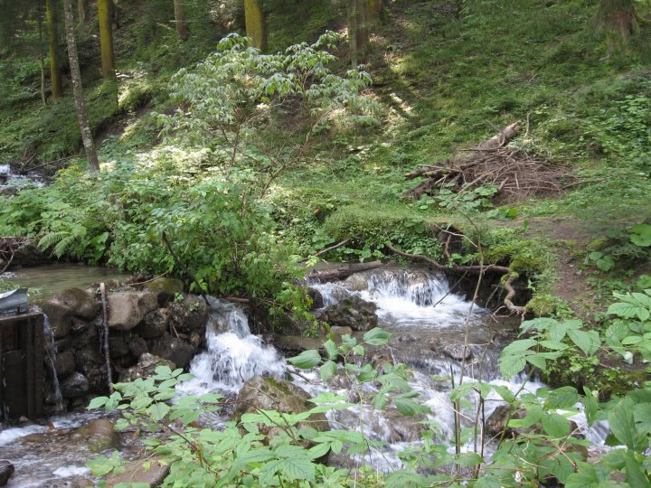 chat porno galati romania