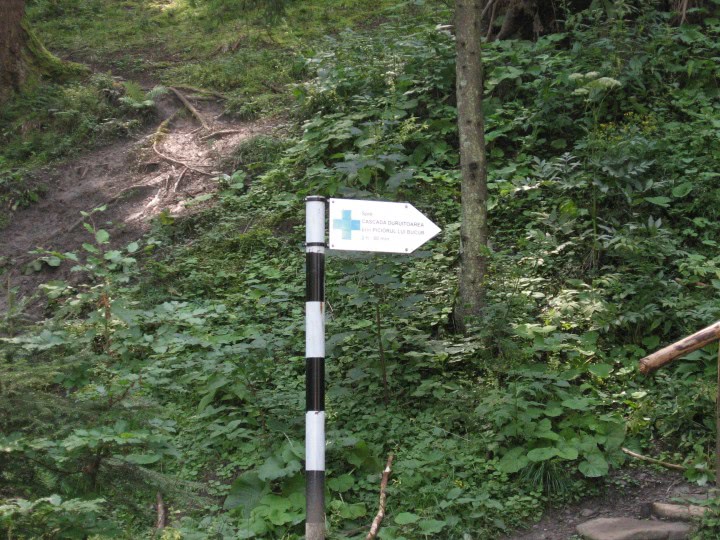 gays life romania jpg gays life romania