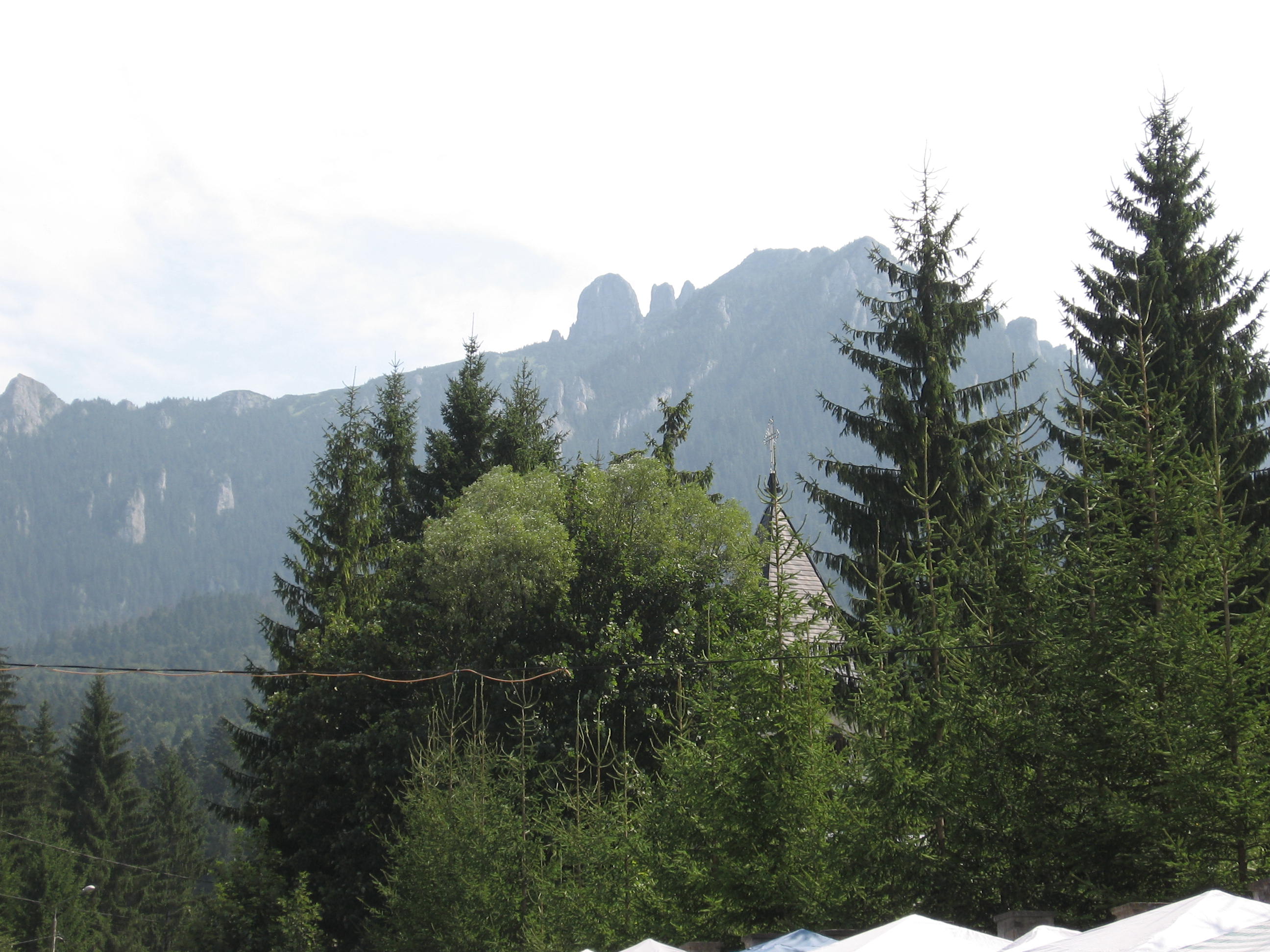 situri gay romania online