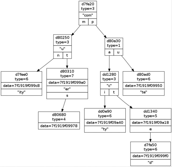 chat video online sex