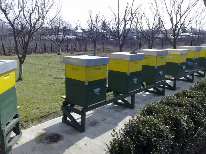 iduri fete cluj napoca jpg iduri fete cluj napoca